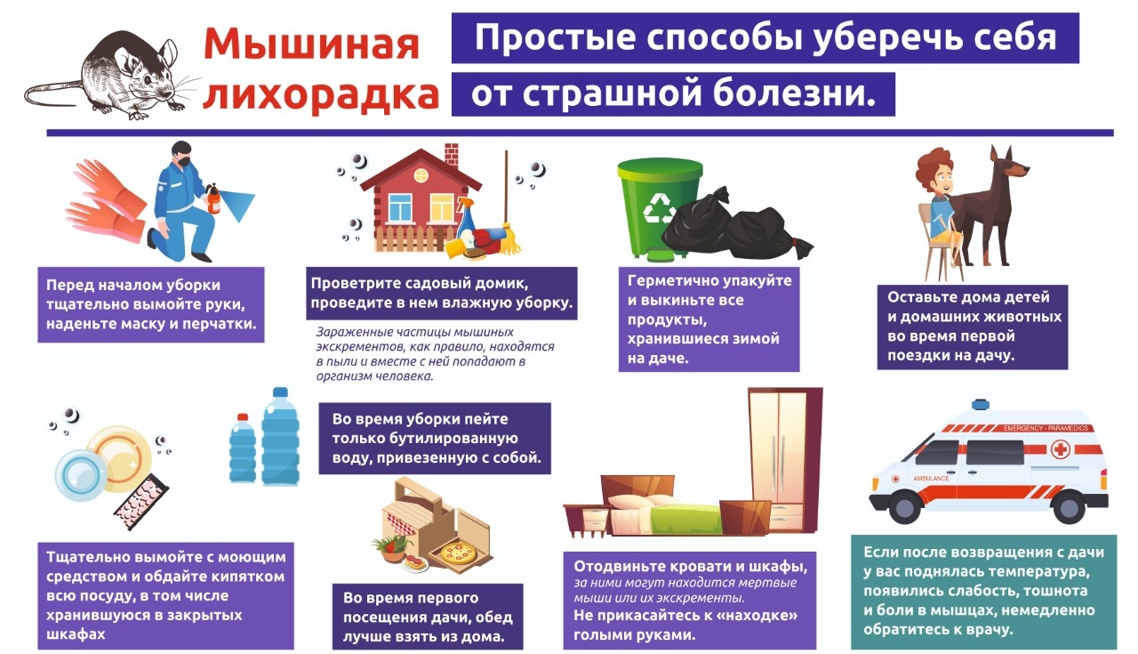мышиная лихорадка.