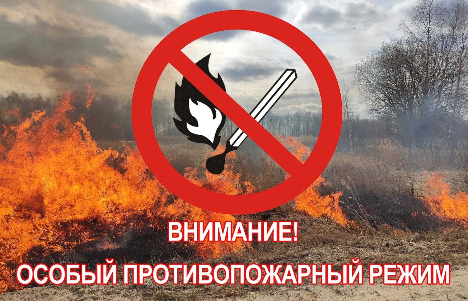 В период с 1 апреля 2025 по 1 июля 2025 года введен на территории муниципального образования Силикатненское городское поселение особый противопожарный режим.