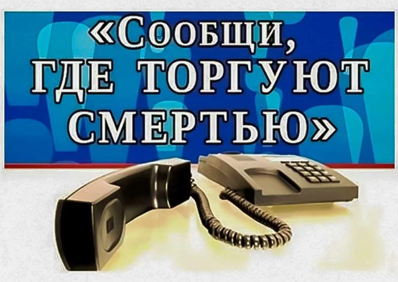 С 14 по 25 октября 2024 года проходит всероссийская антинаркотическая акция «Сообщи, где торгуют смертью!»..