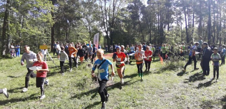 Спортивное ориентирование!. Спортивное ориентирование!.