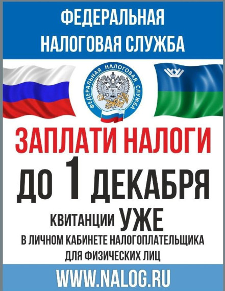 Уплата имущественных налогов физическими лицами в 2024 году. Уплата имущественных налогов физическими лицами в 2024 году.