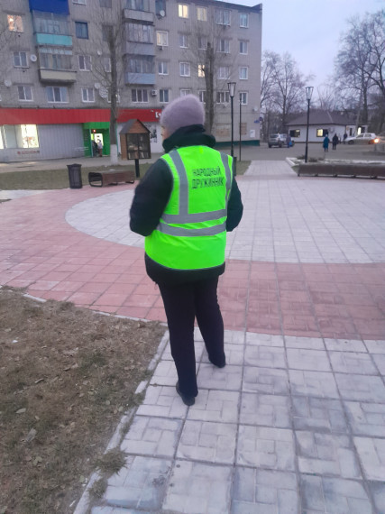 Деятельнось Силикатненской народной дружины. Деятельнось Силикатненской народной дружины.