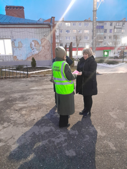 Деятельность Силикатненской народной дружины. Деятельность Силикатненской народной дружины.