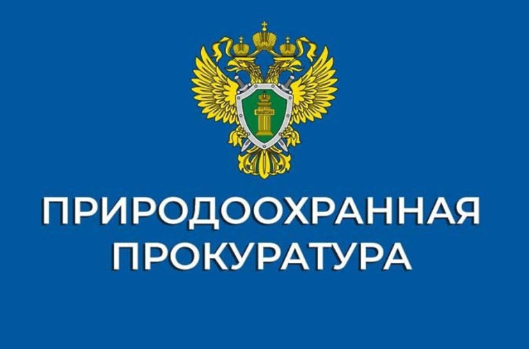 Природоохранная прокуратура разьясняет:. Природоохранная прокуратура разьясняет:.